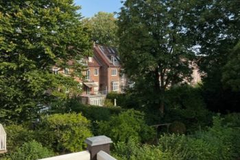 Gartenblick im Sommer