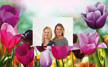 Banner Immosout 24 Banner Immosout 24